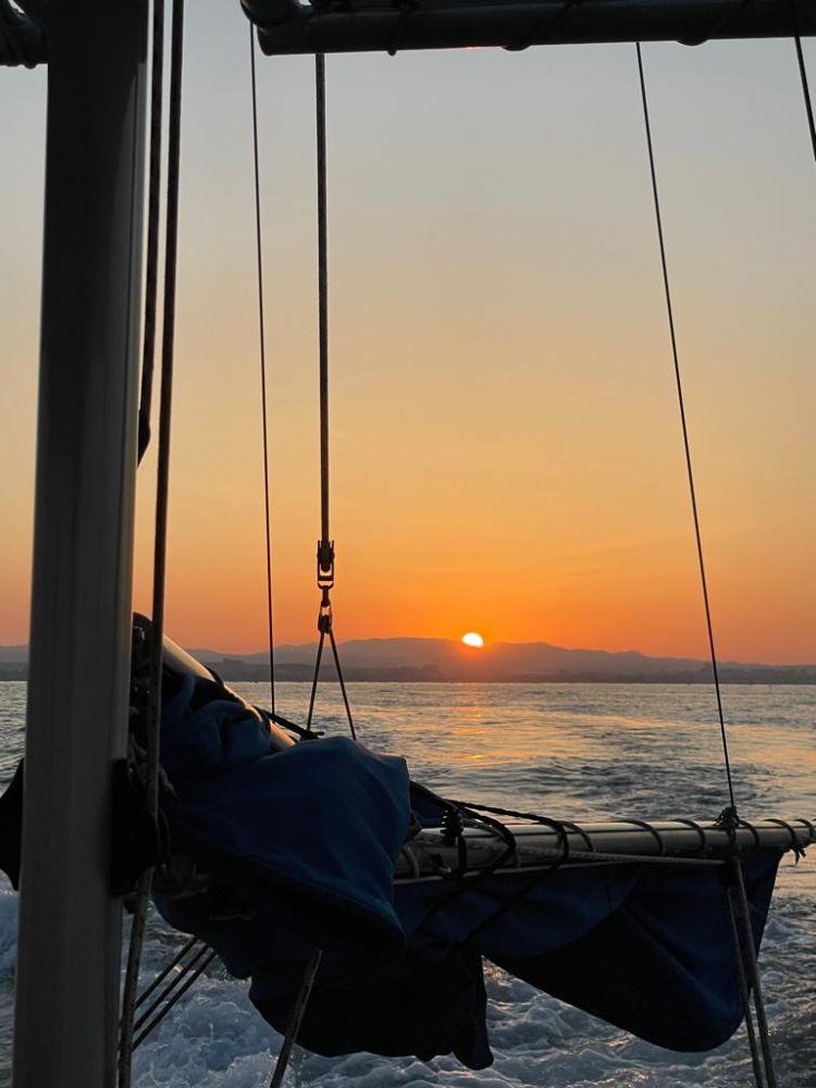 明石タコ解禁2日目