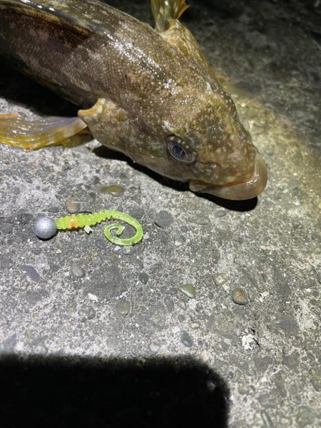 久々のライトゲーム