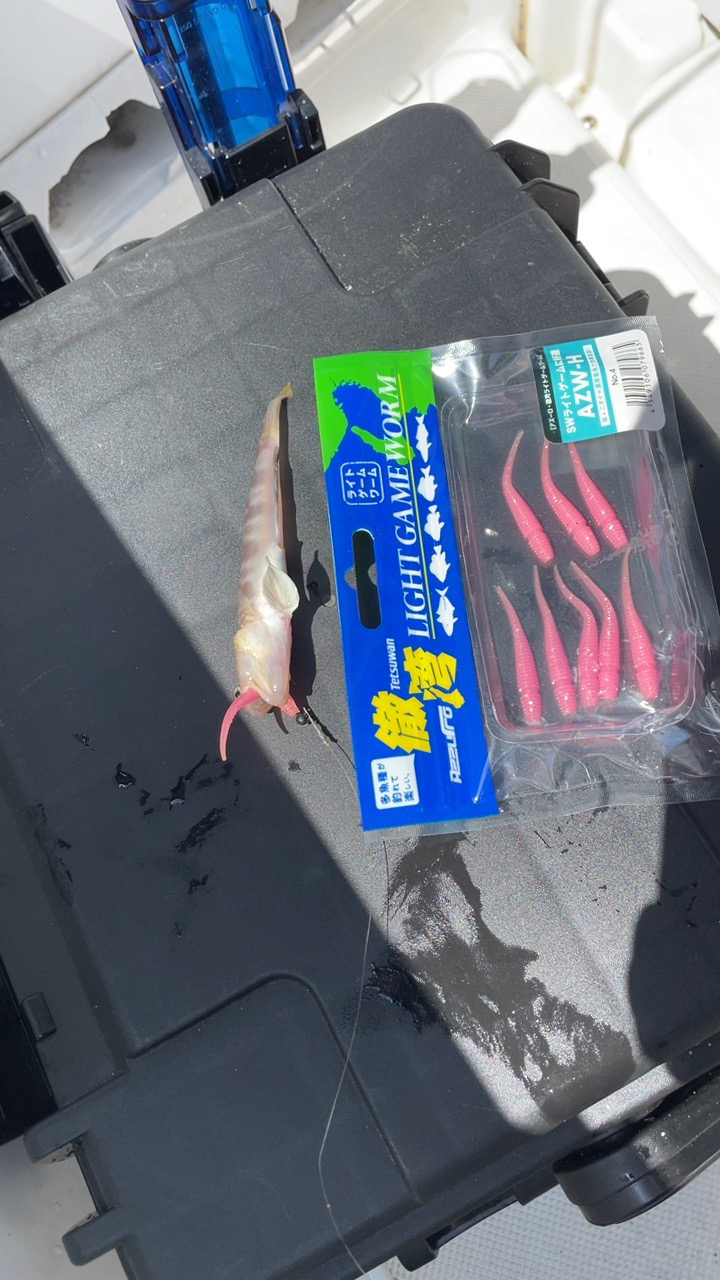 のんびりとエサ釣り&ボートアジング♪