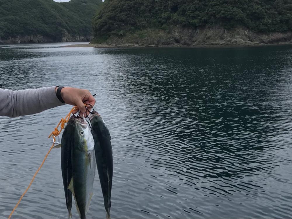 ショアジギング