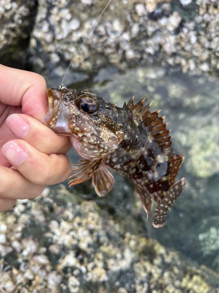 GWライトゲームin小浜