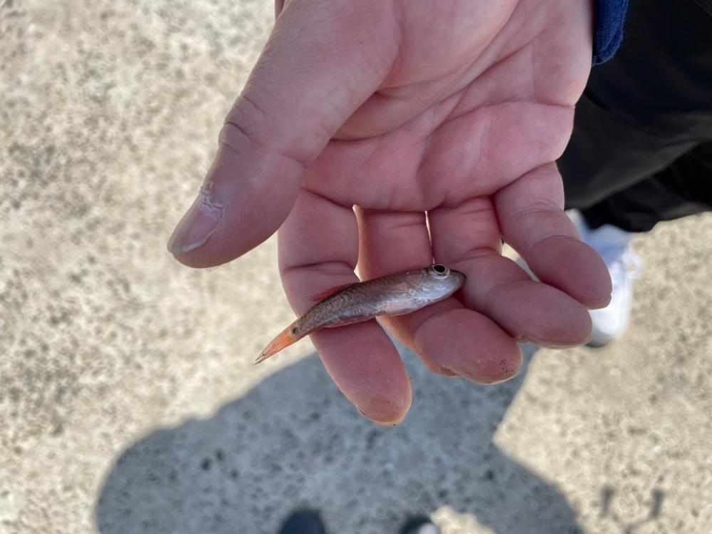 長崎離島最終日