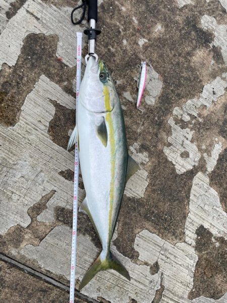 想いのこもった兄弟ルアー