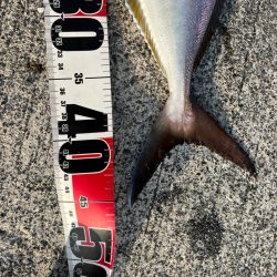 入野漁港が釣り禁止🈲なので万次郎まで