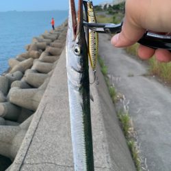 今年も細長いアイツの季節がやってきた？