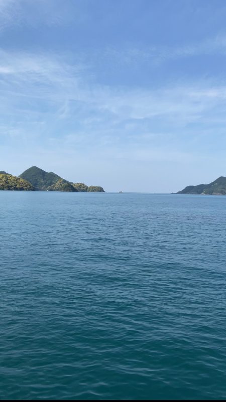 春アオリイカはどこへやら