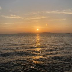 2023ライトゲーム第16戦