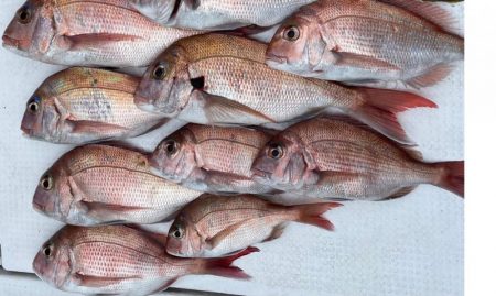 久しぶりのオフショア★