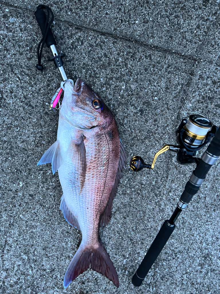 最高のファイト