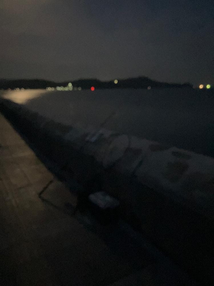 最近エソしか見ていない。