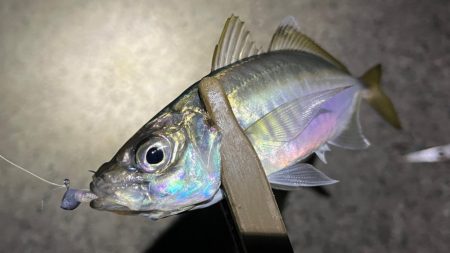 風とぶっ飛び潮