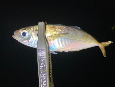 ん〜、君とちゃうねん！