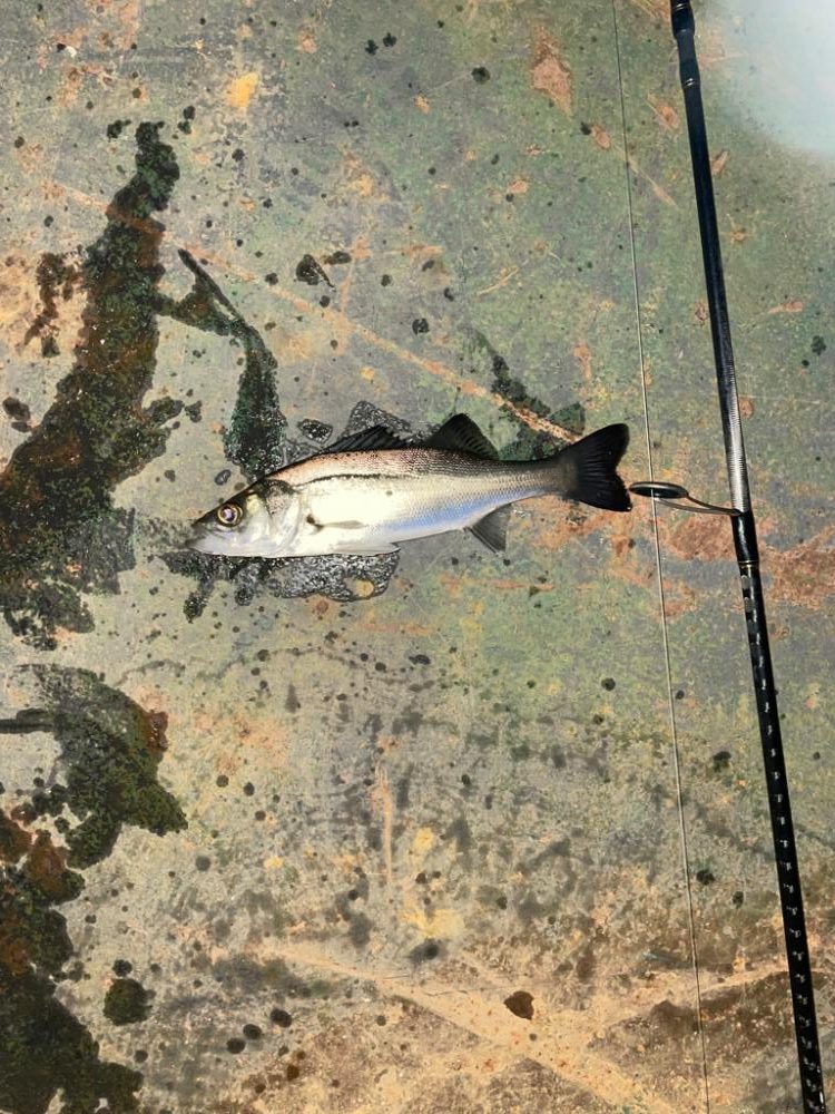 当たりはあるけど