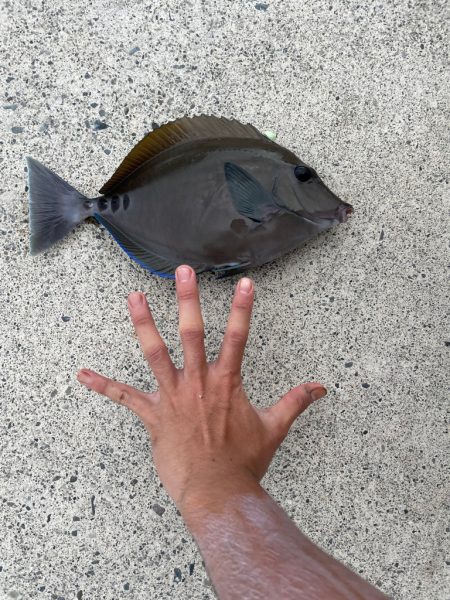 めっちゃ引くやん…