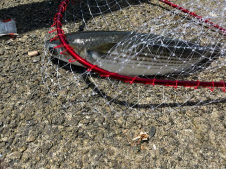 何もないよりは・・・・