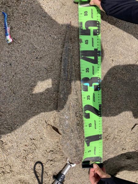 2023初マゴチ🎊