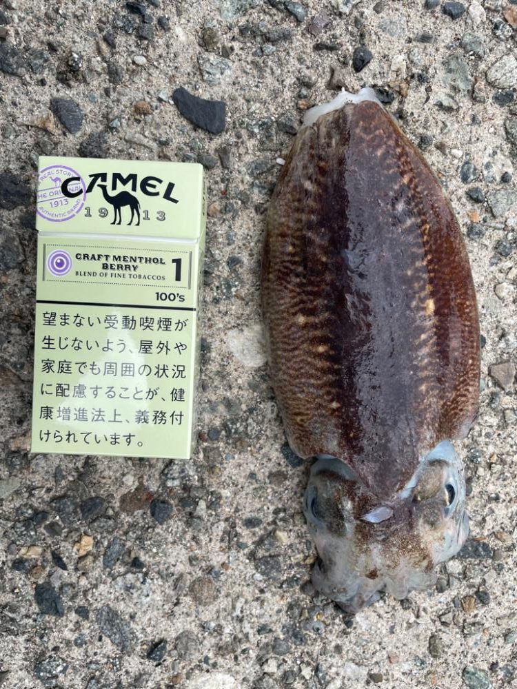 仕事帰りの日課