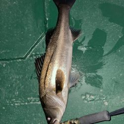 爆風バチパターン