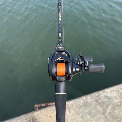 やっぱり武庫川！