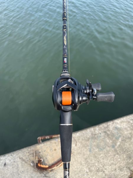 やっぱり武庫川！