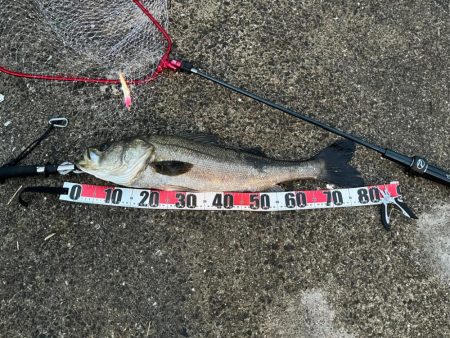 ひとりショアジギング