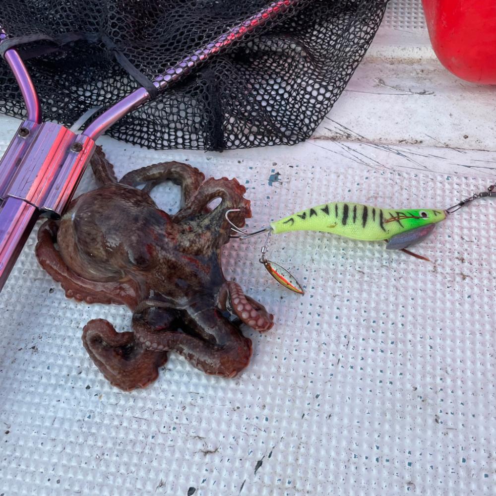 ボートオクトパッシング