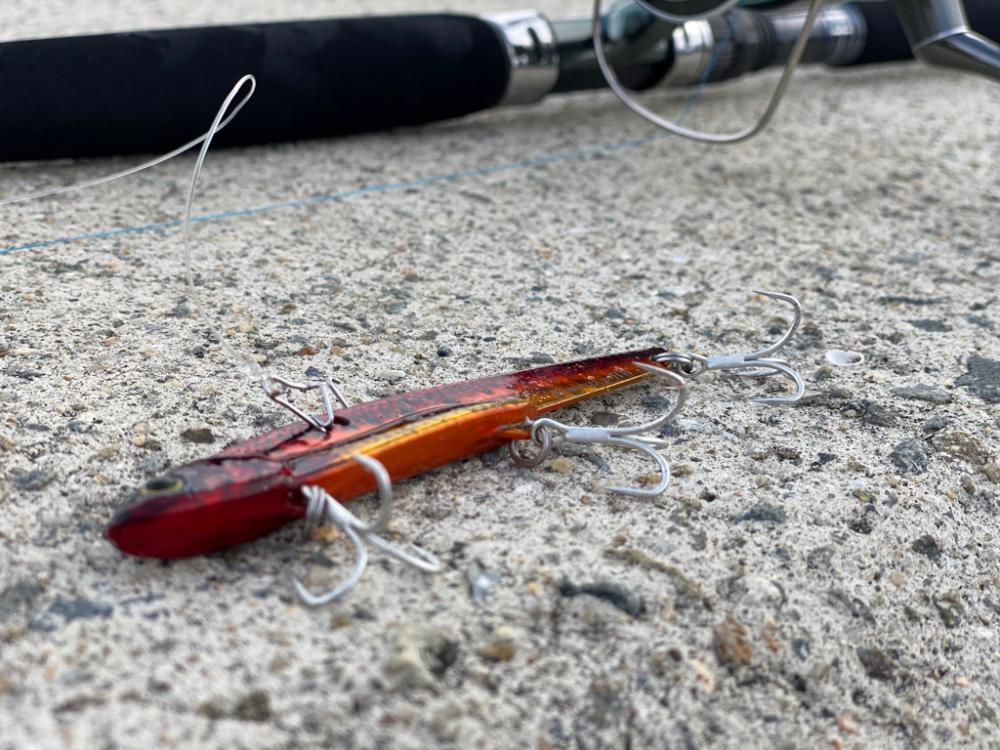 朝イチ青物チャレンジ