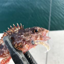 隣県へ🚗🎣…