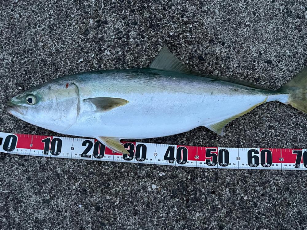 アフター部活動