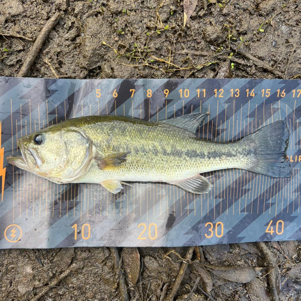 夕まずめの奇跡🌆