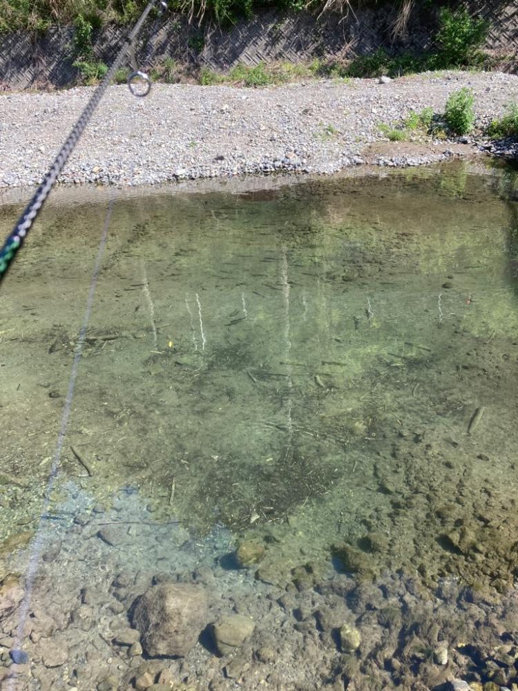 エリアトラウト