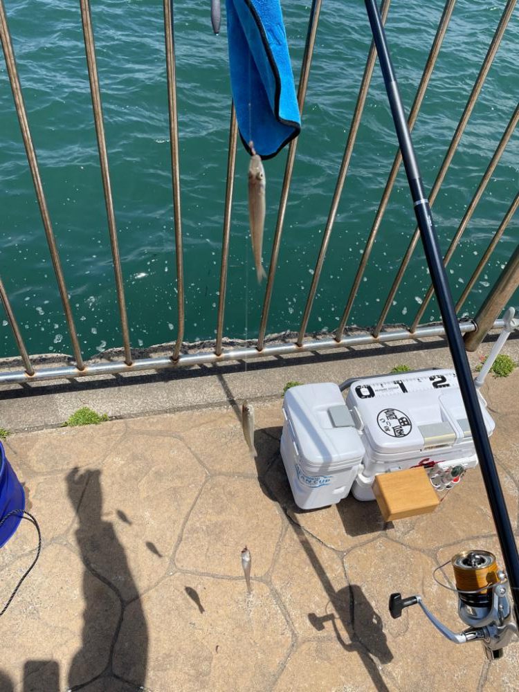 2度目のキス釣り釣行