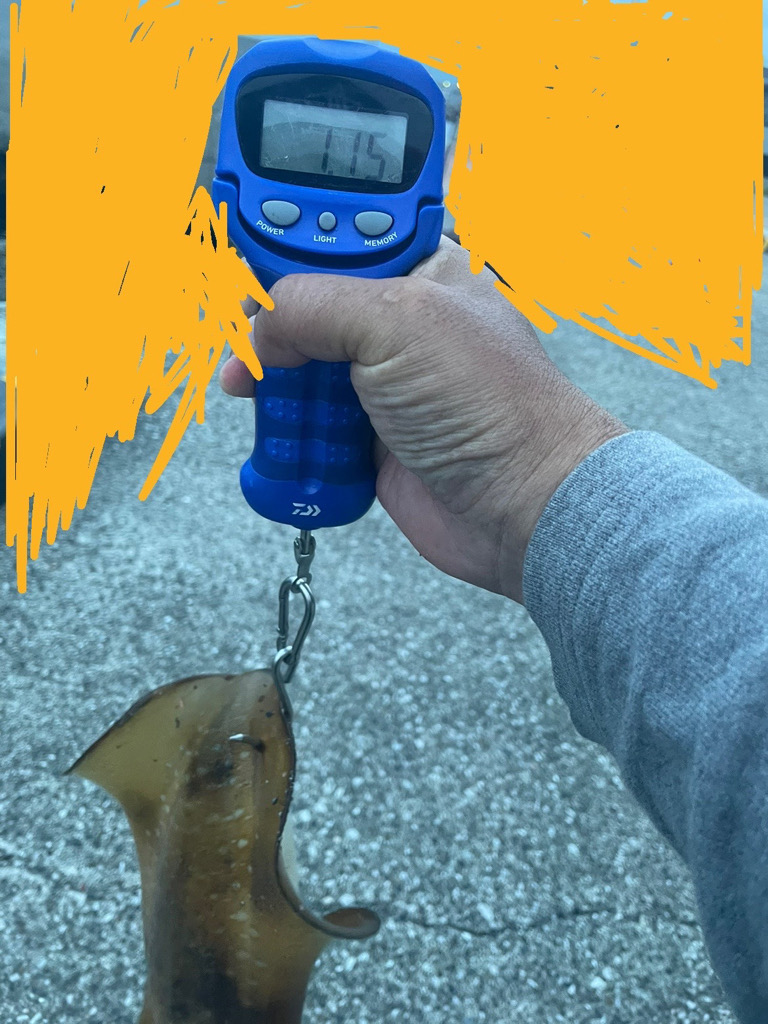 関東遠征エギング