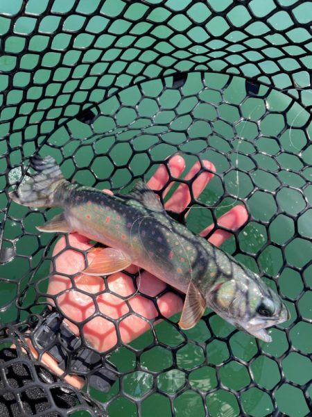 初の然別湖グレートフィッシング！