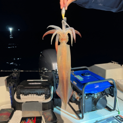 ケンサキイカ/イカメタル