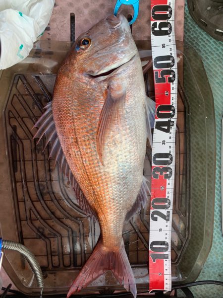 今シーズン初のボート釣行！！