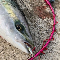 大阪南港　まさかの2連勝❗&…