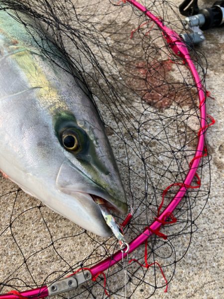 大阪南港　まさかの2連勝❗&…