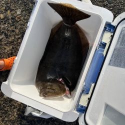 ゴールデンウィーク釣行