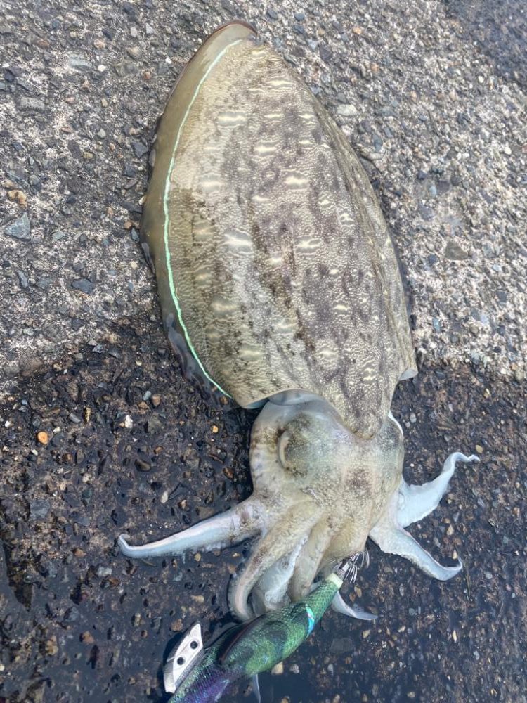 春はマッディキング！！