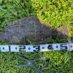 フラットフィッシュ狙いで竹野浜へ