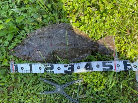 フラットフィッシュ狙いで竹野浜へ