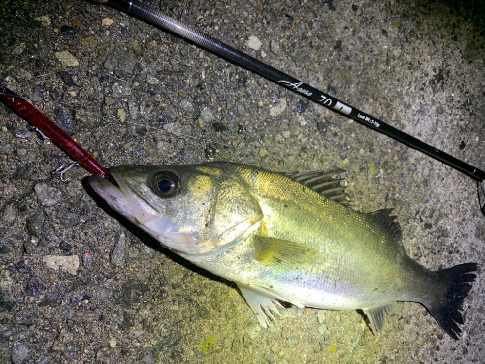 バチ抜け&チニング