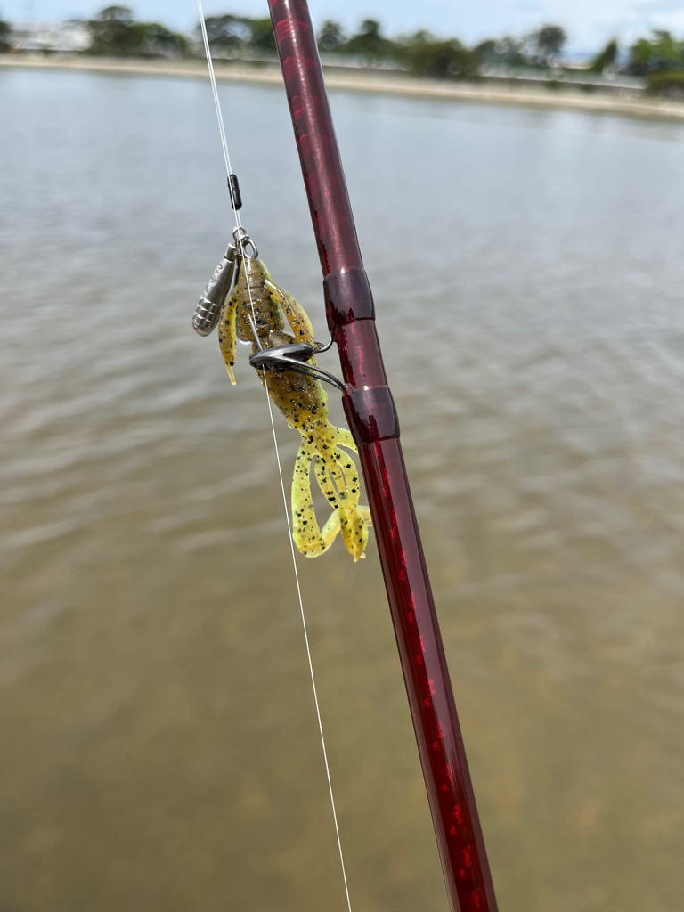 GW最後のチニング!