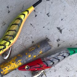 淡路のタコエギ