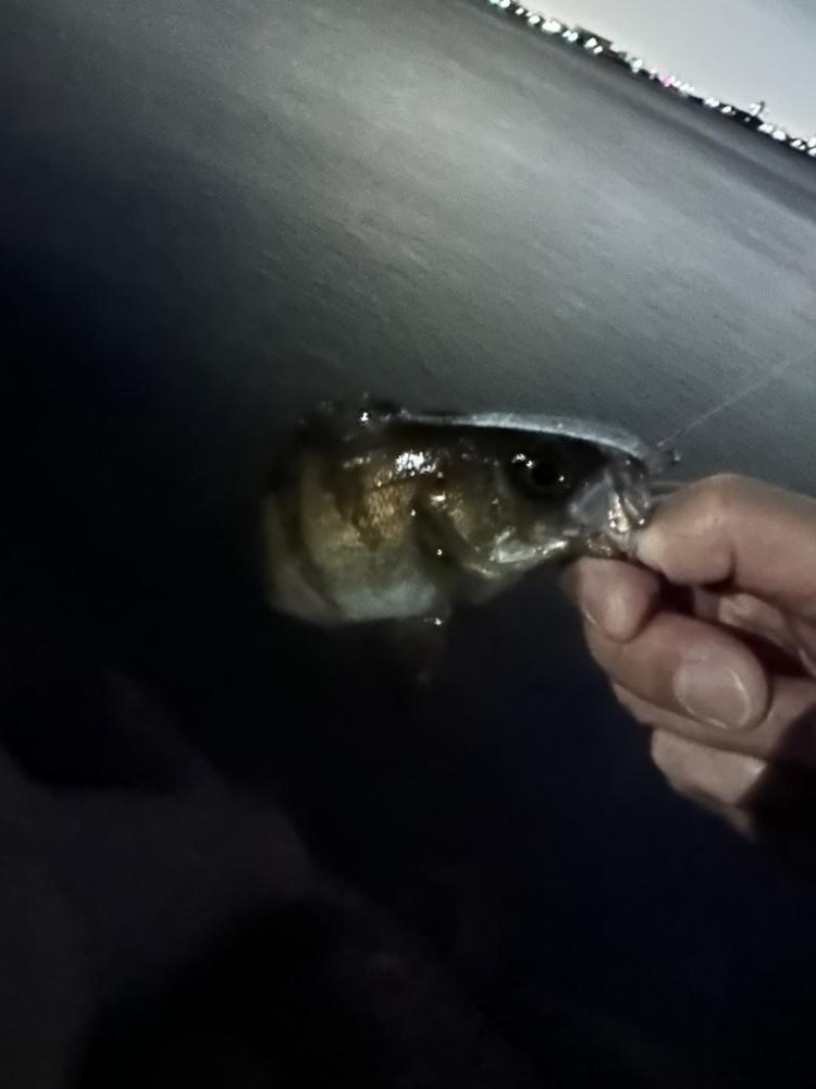 人の少ないポイント探し