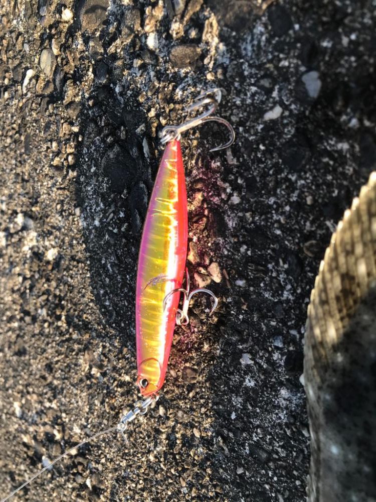 今季 初フラット!