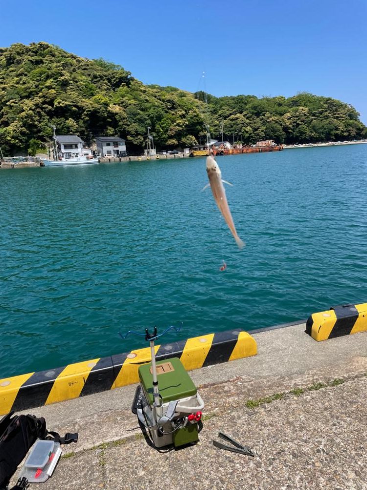 奥さんとドライブついでにちょっとキス釣り