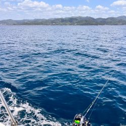 久々にあの海に