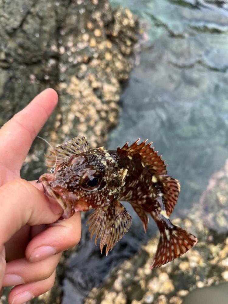 小浜ライトロック